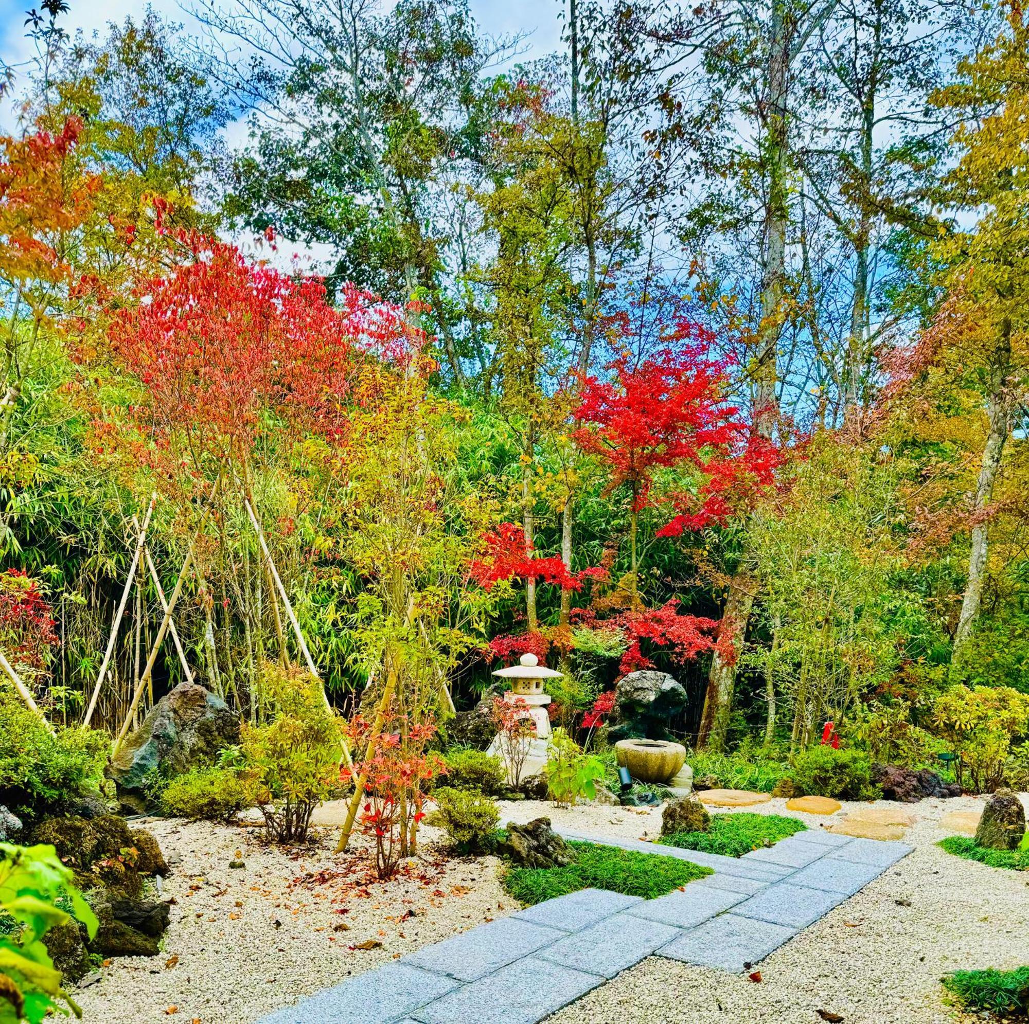 Private Villa Ietona Fujikawaguchiko Extérieur photo